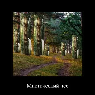 Стикер Дуб🌳 - 11