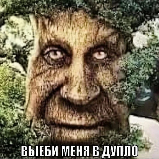 Дуб🌳 - 