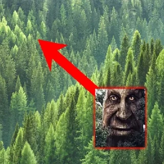 Стикер Дуб🌳 - 6