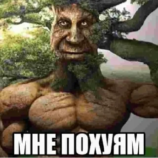 Стикер Дуб🌳 - 5