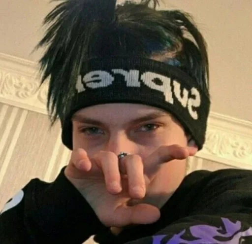 Человек человеческое лицо комнатный