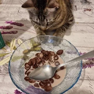 Sticker Кикос, Сима и иногда Фёдор - 2