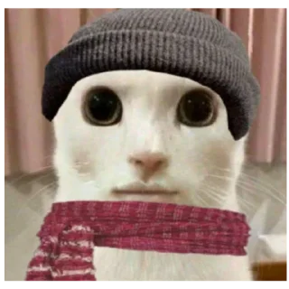 Sticker Фэйри - 4