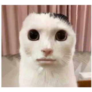 Sticker Фэйри - 9