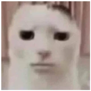 Sticker Фэйри - 3