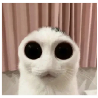 Sticker Фэйри - 11