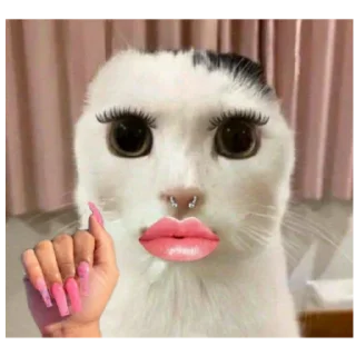 Sticker Фэйри - 2