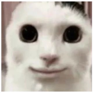 Sticker Фэйри - 8