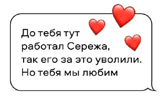 Sticker Фейлентинки SETTERS - 8