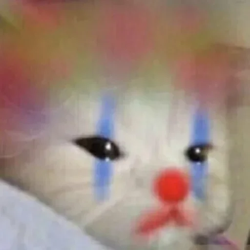 мультфильм млекопитающее кошки малого и среднего размера