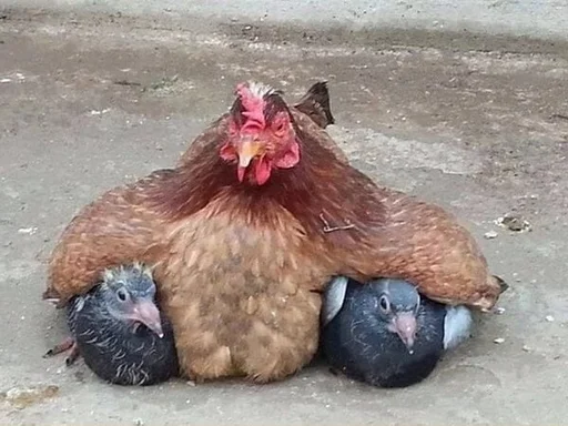 Sticker Мужики не нужны - 5