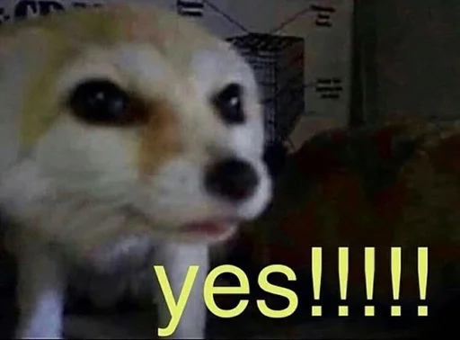 Sticker FensFennekPack2 - 1