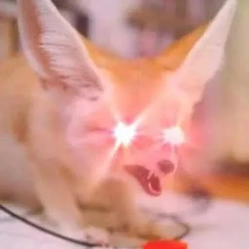 Sticker FensFennekPack2 - 1