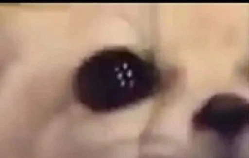 Sticker FensFennekPack2 - 1