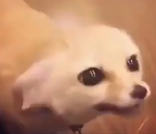 Sticker FensFennekPack2 - 1