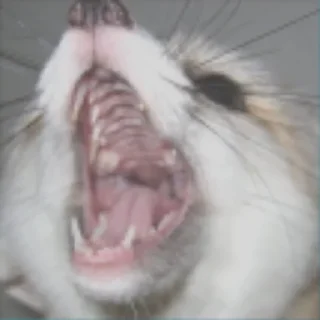 Стикер FensFennekPack2 - 7