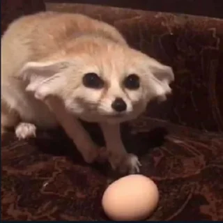 Стикер FensFennekPack2 - 8