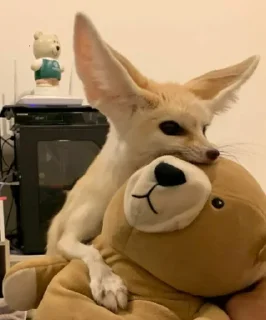 Стикер FensFennekPack2 - 10