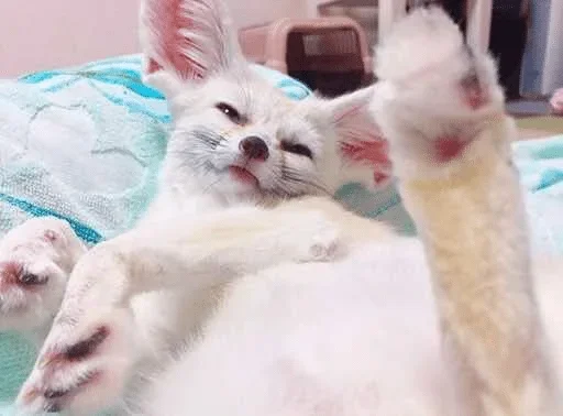 Стикер Fens Pack 1 - 1