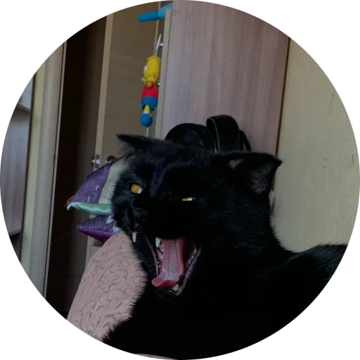 Sticker Fenya1398 - 1