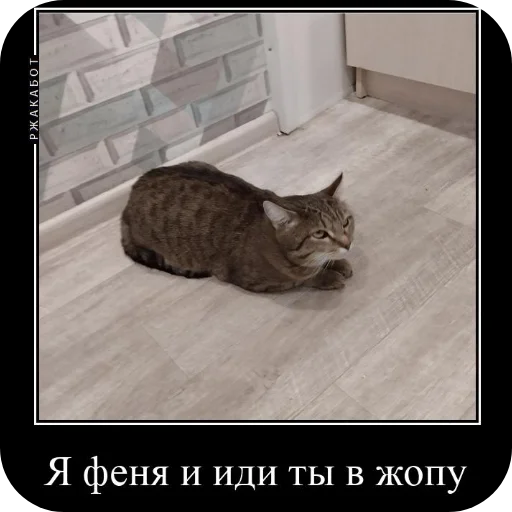 Sticker Fenya931 - 1