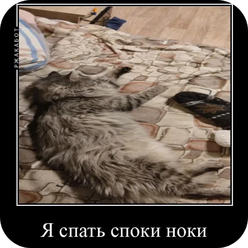 Стикер Fenya931 - 1