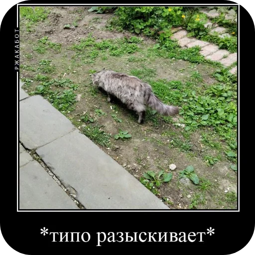 Sticker Fenya931 - 1