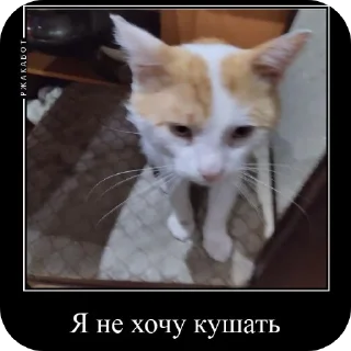 Sticker Феня с фелексом - 0