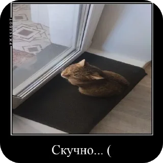 Sticker Феня с фелексом - 3