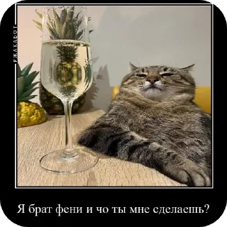 Sticker Феня с фелексом - 8