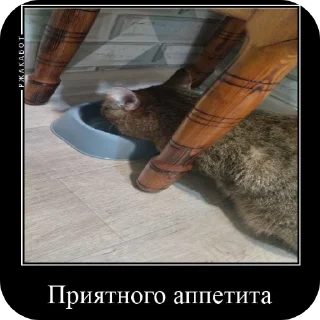 Sticker Феня с фелексом - 1