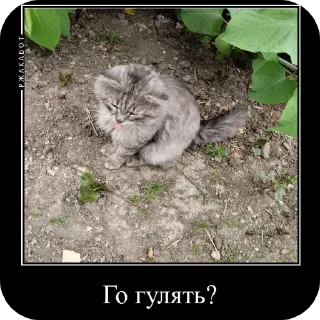 Sticker Феня с фелексом - 5