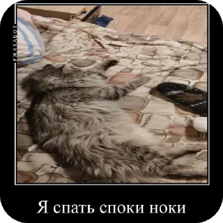 Sticker Феня с фелексом - 4