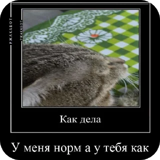 Sticker Феня с фелексом - 11