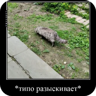 Sticker Феня с фелексом - 2