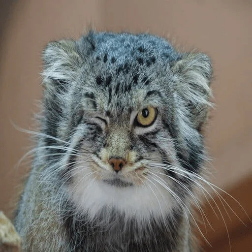 Стикер FetishBeseda - 1