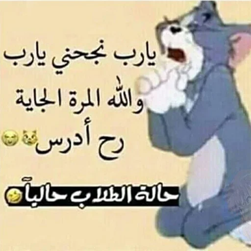 СМС млекопитающее мультфильм