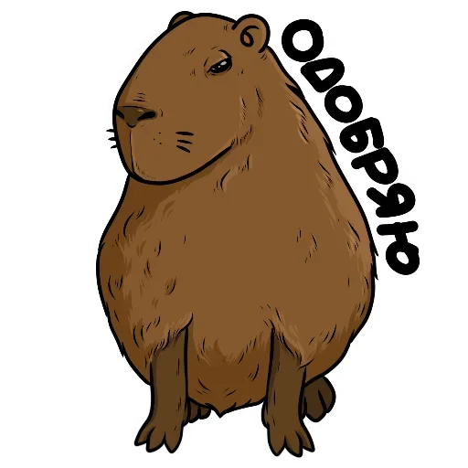 Стикер FhlcpbvfWkzgOBU_by_stickers_stealer_bot - 1