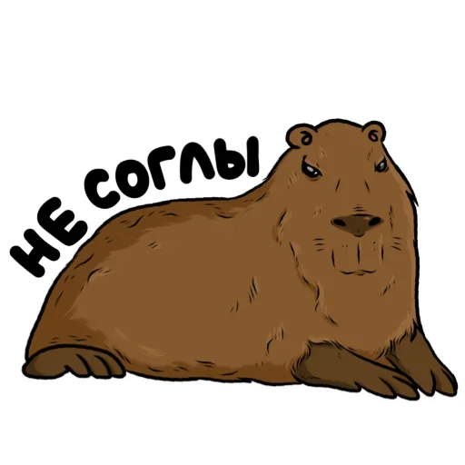 Стикер FhlcpbvfWkzgOBU_by_stickers_stealer_bot - 1