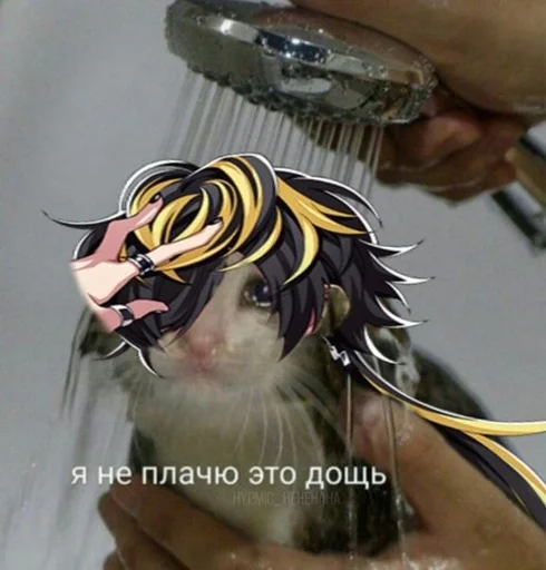 мультфильм Человек