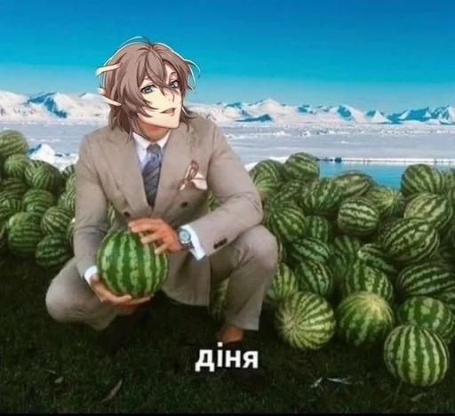 арбуз дыня фрукт