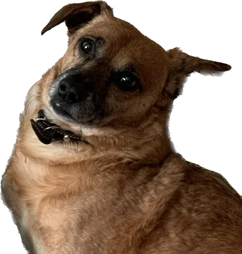 На булдыгичах - 