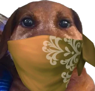 Стикер На булдыгичах - 1