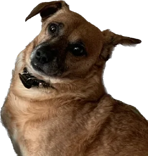 Стикер На булдыгичах - 7