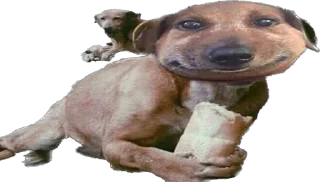 Стикер На булдыгичах - 9