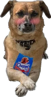 Стикер На булдыгичах - 0