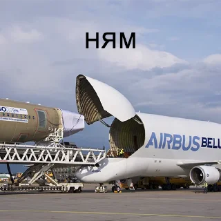 Sticker FighterJet @polipope - 7