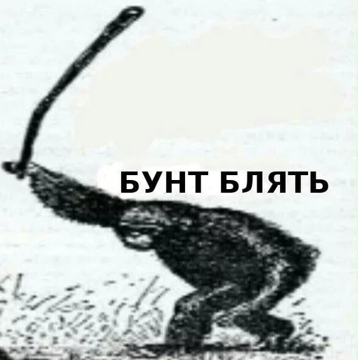 СМС эскиз обезьяна