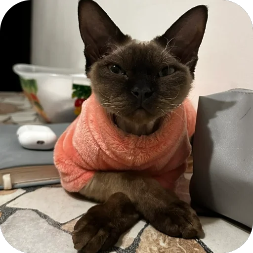 Sticker FileOFish6 - 1