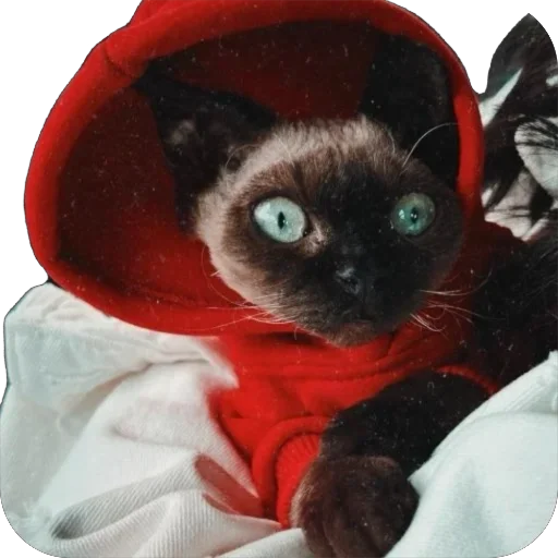 Sticker FileOFish6 - 1